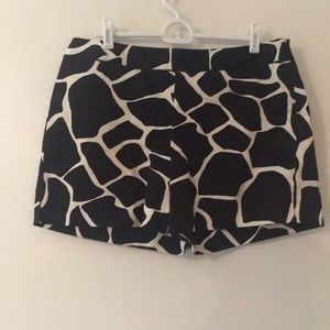 White House Black Market shorts